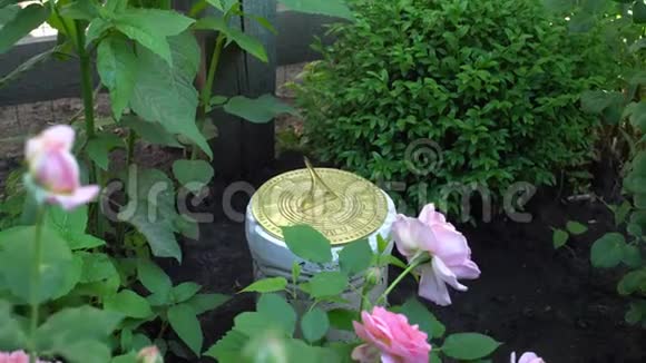 玫瑰背景下英国花园中的杂物视频的预览图
