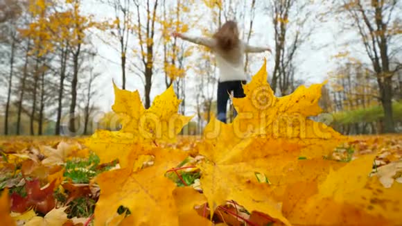 秋天公园的舞女剪影前景黄枫叶视频的预览图