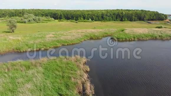 小小的乡村池塘和明亮的绿地景观视频的预览图