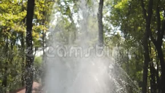 喷泉的水滴在空气中飞溅在绿树的背景下缓慢地运动视频的预览图