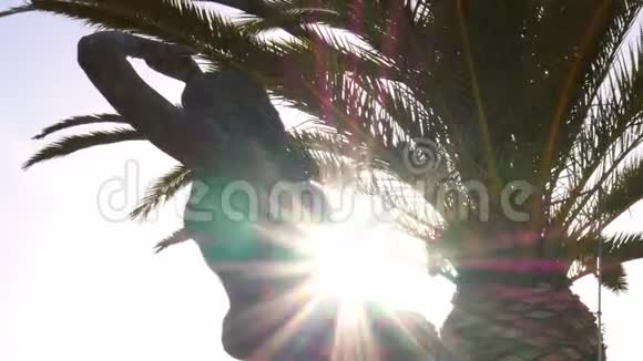 在葡萄牙卡斯卡斯的美人鱼雕像后面露出阳光视频的预览图
