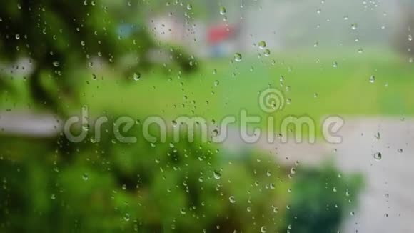 雨水在多汁的绿色背景下从玻璃表面流下关上玻璃上的水滴视频的预览图
