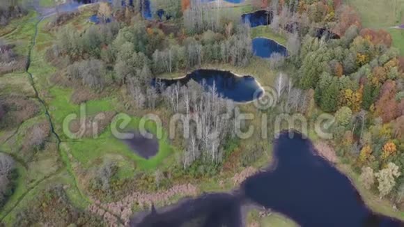 秋天的树木湖泊和木路的景观空中视频的预览图