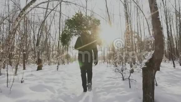 人肩上扛着被砍倒的圣诞树平安夜和新年他在雪地里走在森林里视频的预览图