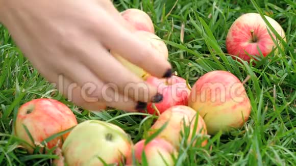 夏天在草地上吃红苹果视频的预览图