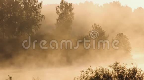 晨雾在湖面上日出拍摄视频的预览图