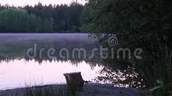 反射性雾状湖泊视频的预览图
