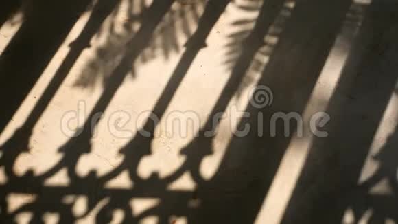 4K栅栏和棕榈叶的剪影通过自然风在水泥地板上运动视频的预览图