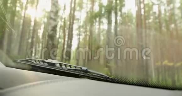 从挡风玻璃上看到高大树木的森林视频的预览图