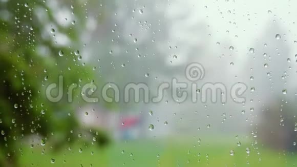 关上玻璃上的水滴雨水在多汁的绿色背景下从玻璃表面流出视频的预览图
