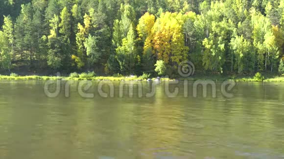 江岸秋日晴平静的河流和森林覆盖的山脉视频的预览图