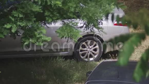 一辆银色的车在一棵大绿树下的特写镜头下视频的预览图