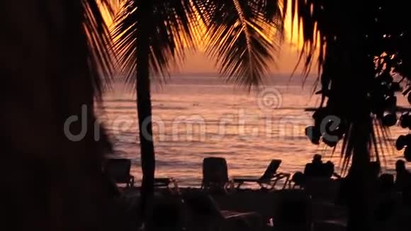 日落时剪影棕榈树视频的预览图
