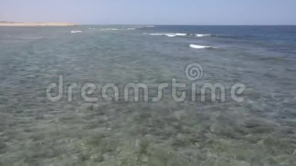 红海的海岸有美丽的水视频的预览图