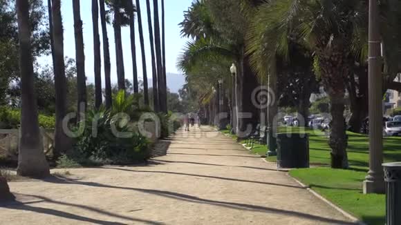 圣莫尼卡海滩附近的公园里的人行道阳光明媚的一天与加州高大棕榈树的小巷美国视频的预览图