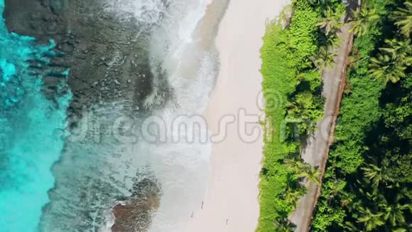 飞航4K无人机奇异天堂热带海滩安塞巴扎卡在马赫岛塞舌尔夏季视频的预览图