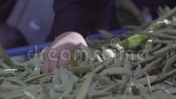 新鲜的绿豆和塑料视频的预览图