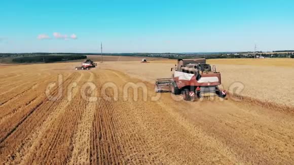 小麦被农业运输收割视频的预览图