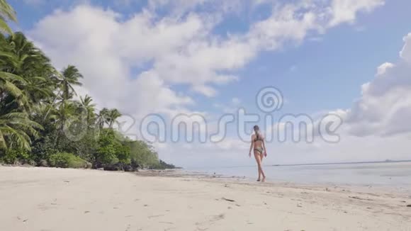 年轻女子穿着比基尼在潮湿的沙滩上漫步在的海滩上棕榈树的景色穿着泳装的美女视频的预览图