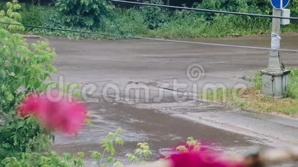 飓风过后水流流过城市的街道汽车直接在水上行驶视频的预览图