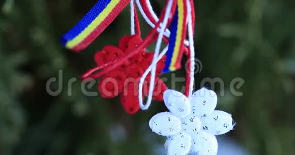 马尔蒂索与罗马尼亚三色元素的雪质地背景摩尔达维亚和罗马尼亚的春天符号马尔蒂索是红色的视频的预览图