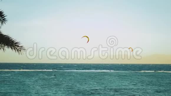 在埃及达哈布美丽的清水中风筝冲浪以山为背景探索碧水视频的预览图