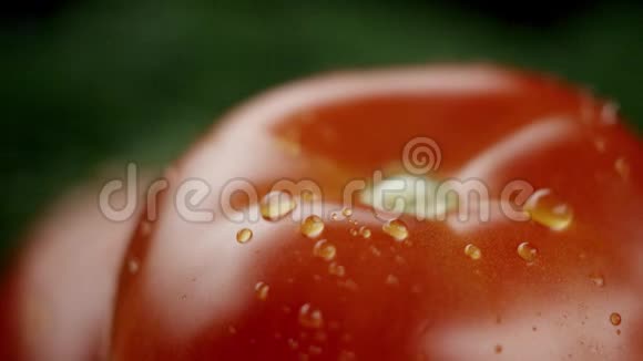 在视频中我们看到一个西红柿和绿色植物在视频的中间水开始从顶部像一个视频的预览图