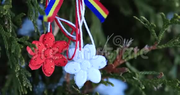传统的马尔蒂索是一根红白相间的弦是人们在3月1日提供的爱情护身符罗马尼亚语和摩尔多瓦语视频的预览图