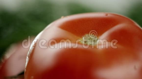 在视频中我们看到了一个西红柿和绿色植物水开始从顶部倾泻就像一个淋浴白色的背景关闭视频的预览图