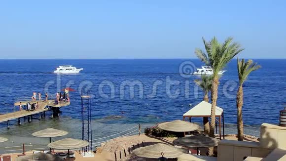 埃及红海的游船视频的预览图