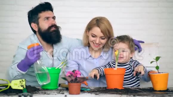 一家人一起种花唱关于雨的歌这个男孩帮助父母种植植物视频的预览图