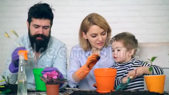 母亲和父亲教儿子如何在花盆里种花休闲的年轻家庭视频的预览图