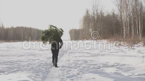 那个人肩上扛着被砍倒的杉树平安夜和新年盖伊在雪地里的森林里散步概念视频的预览图