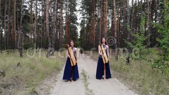 两个竖琴手拿着竖琴沿着一条森林道路走着视频的预览图