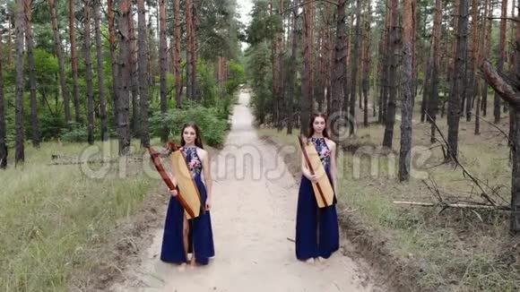 两个竖琴手拿着竖琴沿着一条森林道路走着视频的预览图