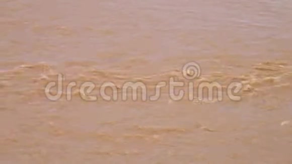 潺潺肮脏的河水视频的预览图