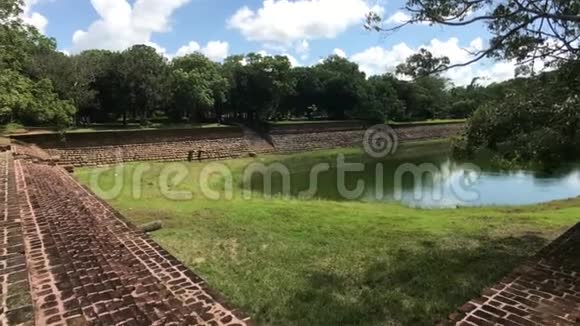 阿努拉达普拉斯里兰卡俯瞰游泳池角落的大象视频的预览图