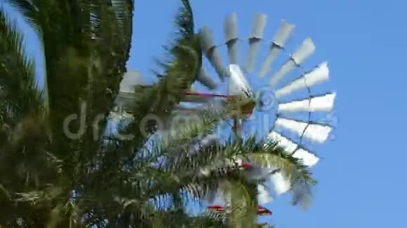 古老的老式风车在棕榈枝之间旋转阳光明媚的一天视频的预览图
