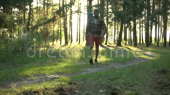 单个露营者在森林散步时感到膝关节疼痛榫头炎和扭伤视频的预览图