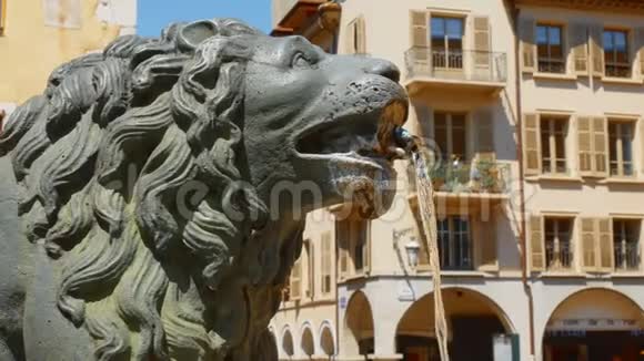 法国安纳西市中心狮子头的细节视频的预览图