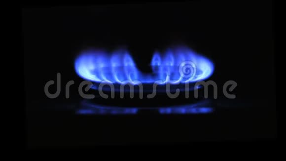 气的蓝色火焰的出现黑色背景的煤气炉视频的预览图
