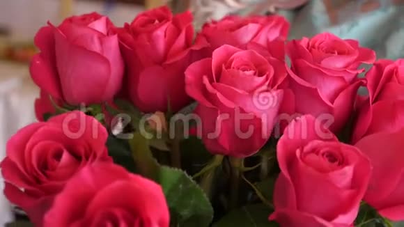 美丽的红玫瑰在女人手特写镜头视频的预览图