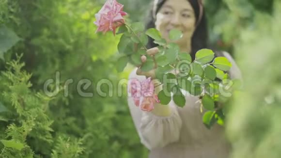美丽的老妇人花园里有一朵大玫瑰视频的预览图