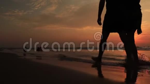 日落时在海滩上的父子快乐的小家庭在海滩上玩得开心日落时奔跑跳跃视频的预览图
