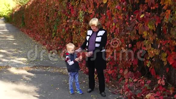 奶奶和孙子在秋天温暖的天气在公园里散步慢动作视频的预览图