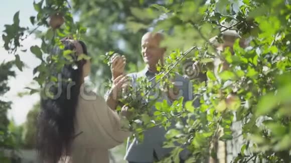一对微笑的成年夫妇在花园里摘苹果视频的预览图