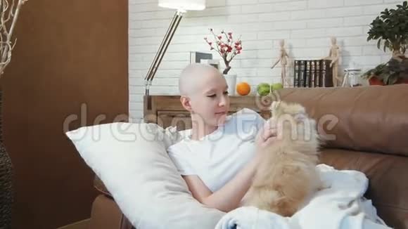 癌症病人躺在沙发上和一只可爱的小狗玩耍视频的预览图