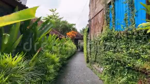 沉浸在越南亚洲别墅绿色植物中的庭院视频的预览图