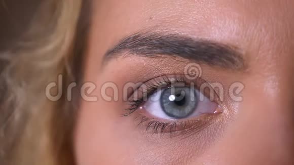 近距离闪动的高加索女性大蓝眼睛直视镜头室内轻松视频的预览图