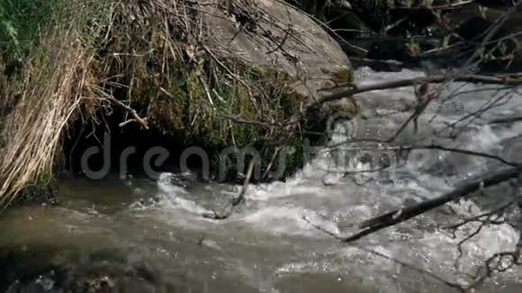 石头附近河流的快速流动视频的预览图